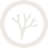 Nature Mark_Transparent_Bone-1